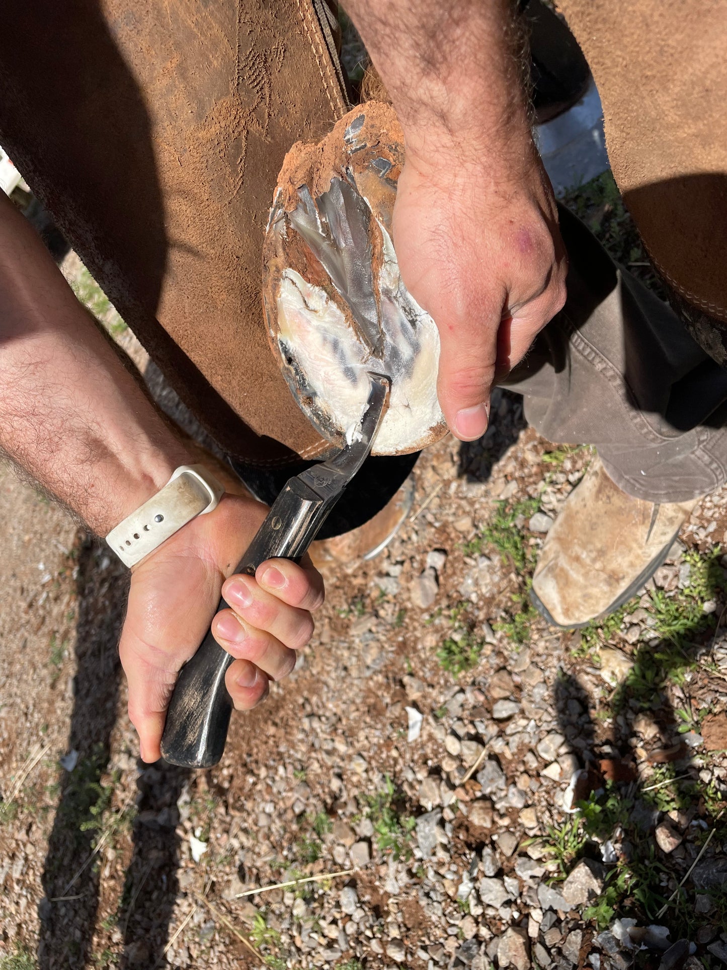 Old G.O.A.T. Hoof knife - #1